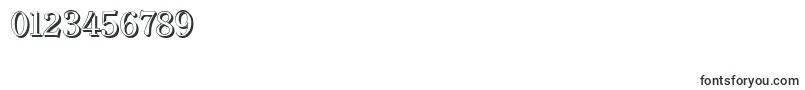 ClearfaceshadowRegular Font – Fonts for Numbers and Digits