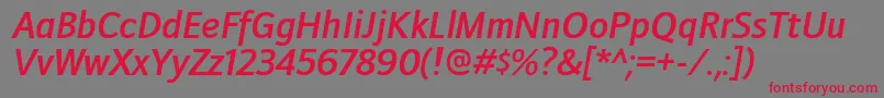 DoradanisbItalic Font – Red Fonts on Gray Background