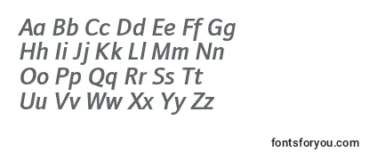 DoradanisbItalic-fontti