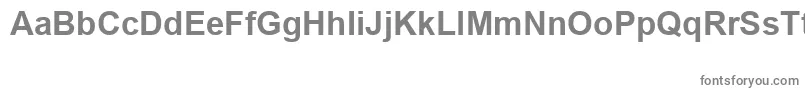ArialSpecialG1Bold Font – Gray Fonts
