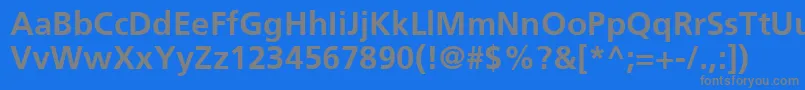 Police FrutigerLt65Bold – polices grises sur fond bleu