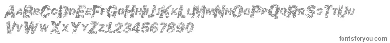 Chronicgothic Font – Gray Fonts on White Background