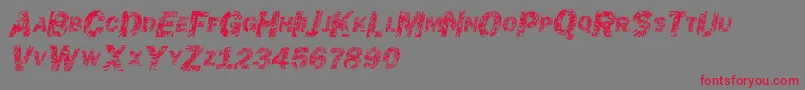 フォントChronicgothic – 赤い文字の灰色の背景