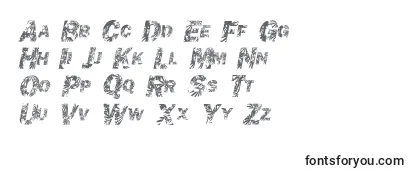 Обзор шрифта Chronicgothic