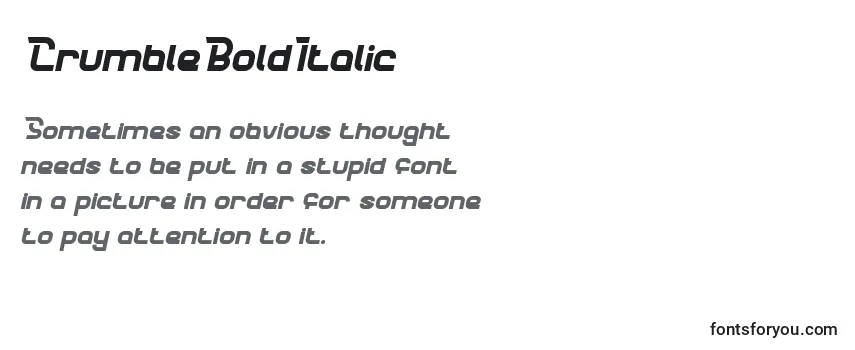 CrumbleBoldItalic Font