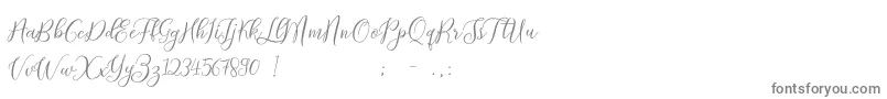 ProloguescriptliteRegular-Schriftart – Graue Schriften