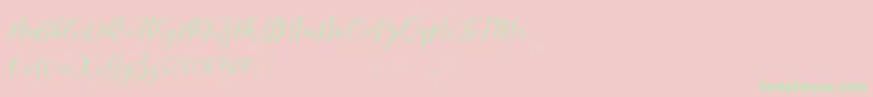 ProloguescriptliteRegular-Schriftart – Grüne Schriften auf rosa Hintergrund