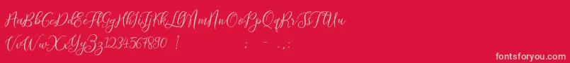 ProloguescriptliteRegular-Schriftart – Rosa Schriften auf rotem Hintergrund