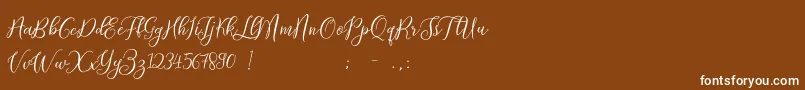 ProloguescriptliteRegular Font – White Fonts on Brown Background