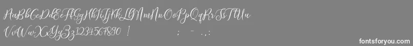 ProloguescriptliteRegular Font – White Fonts on Gray Background