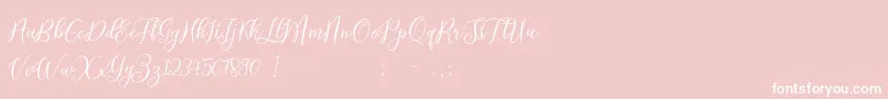 ProloguescriptliteRegular Font – White Fonts on Pink Background