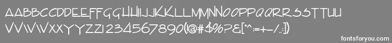 EnvaluedbNormal Font – White Fonts on Gray Background