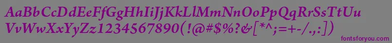 ArnoproSmbditalicsmtext Font – Purple Fonts on Gray Background