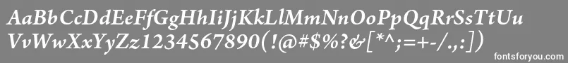 フォントArnoproSmbditalicsmtext – 灰色の背景に白い文字