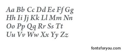 ArnoproSmbditalicsmtext-fontti