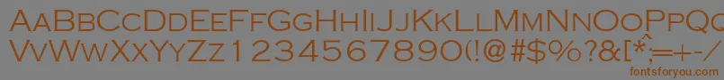 CopperlightdbNormal Font – Brown Fonts on Gray Background