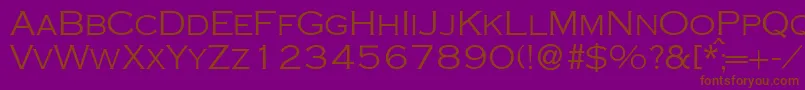 CopperlightdbNormal Font – Brown Fonts on Purple Background