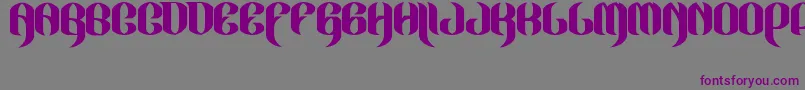 JakejarkorLocura Font – Purple Fonts on Gray Background
