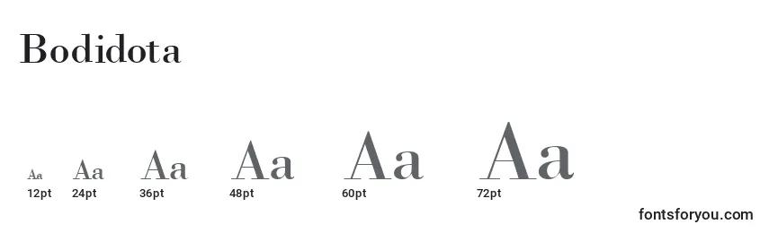 Размеры шрифта Bodidota