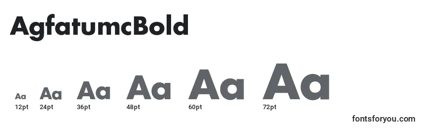 AgfatumcBold Font Sizes