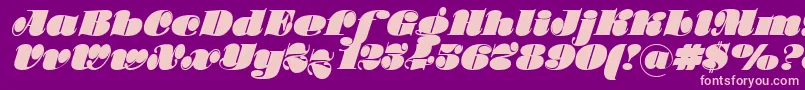 Stilla Font – Pink Fonts on Purple Background