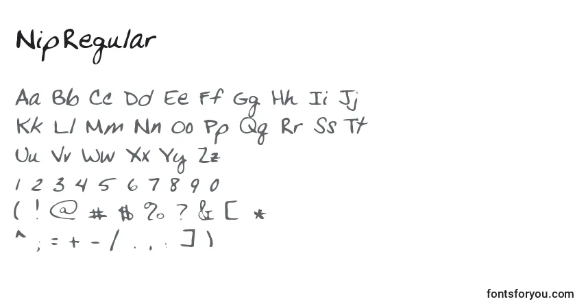 Schriftart NipRegular – Alphabet, Zahlen, spezielle Symbole