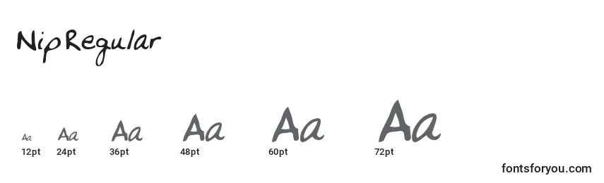 NipRegular Font Sizes