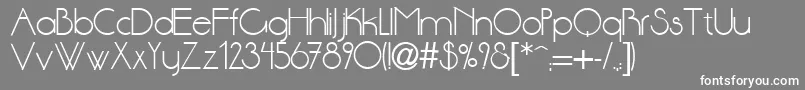 DsStandartcyr Font – White Fonts on Gray Background