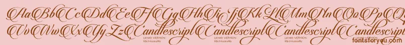 CandlescriptDemoVersion Font – Brown Fonts on Pink Background