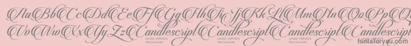 CandlescriptDemoVersion Font – Gray Fonts on Pink Background