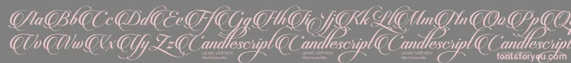 CandlescriptDemoVersion Font – Pink Fonts on Gray Background