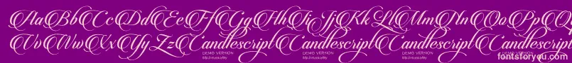 fuente CandlescriptDemoVersion – Fuentes Rosadas Sobre Fondo Morado