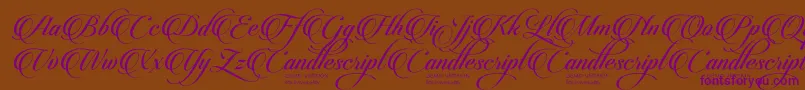 CandlescriptDemoVersion Font – Purple Fonts on Brown Background