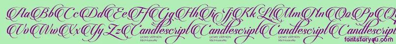 CandlescriptDemoVersion Font – Purple Fonts on Green Background