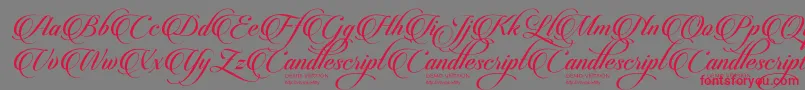 CandlescriptDemoVersion Font – Red Fonts on Gray Background