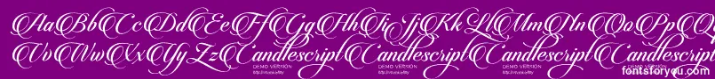 CandlescriptDemoVersion Font – White Fonts on Purple Background