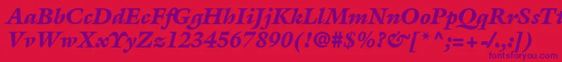 AcanthusBlackSsiBlackItalic Font – Purple Fonts on Red Background