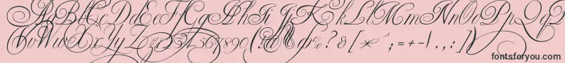 Ekaterinavelikayatwo Font – Black Fonts on Pink Background