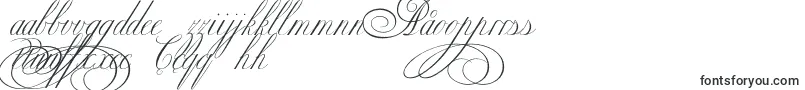 Ekaterinavelikayatwo Font – Uzbek Fonts
