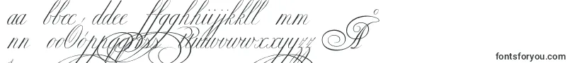 Ekaterinavelikayatwo Font – Polish Fonts
