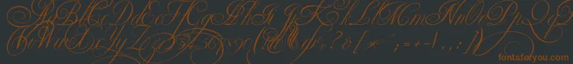 Ekaterinavelikayatwo Font – Brown Fonts on Black Background