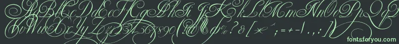 Ekaterinavelikayatwo Font – Green Fonts on Black Background