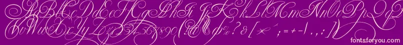 Ekaterinavelikayatwo Font – Pink Fonts on Purple Background