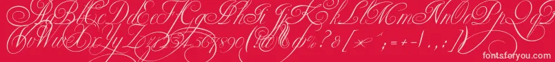Ekaterinavelikayatwo-Schriftart – Rosa Schriften auf rotem Hintergrund