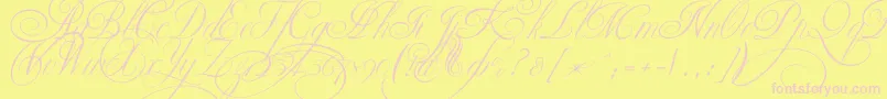 Ekaterinavelikayatwo Font – Pink Fonts on Yellow Background