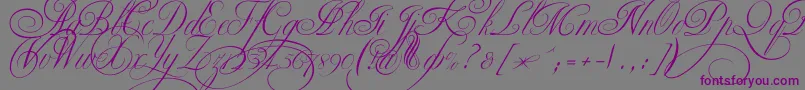 Ekaterinavelikayatwo Font – Purple Fonts on Gray Background