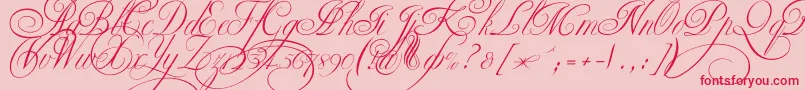 Ekaterinavelikayatwo-Schriftart – Rote Schriften auf rosa Hintergrund