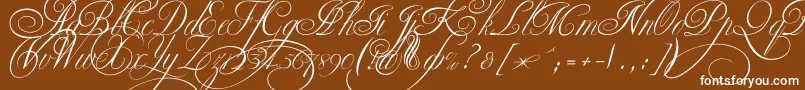 Ekaterinavelikayatwo Font – White Fonts on Brown Background