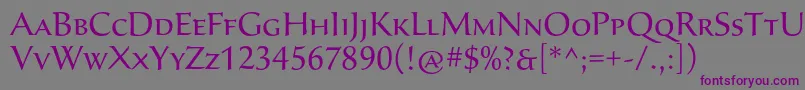 Шрифт SavaproRegular – фиолетовые шрифты на сером фоне