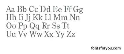 Обзор шрифта Agcenturionc